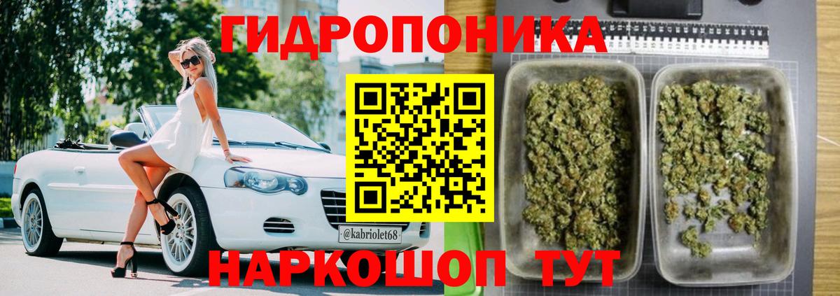 Бошки Шишки тримм Мурманск